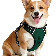 Load image into Gallery viewer, No Pull Dog Harness, No-Choke Soft Padded Reflective Dog Vest Harness with Front Clip & Top Handle, 2 Quick-Release Buckles, Adjustable for Small Medium Large Dogs