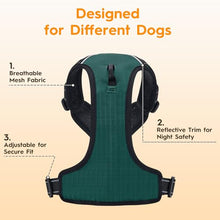 Load image into Gallery viewer, No Pull Dog Harness, No-Choke Soft Padded Reflective Dog Vest Harness with Front Clip & Top Handle, 2 Quick-Release Buckles, Adjustable for Small Medium Large Dogs