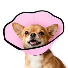 Load image into Gallery viewer, MIDOG Dog Cone Collar After Surgery, Soft Dog Cone Alternative to Stop Licking,Adjustable Elizabethan Recovery Cones for Small to Large Sized Dogs