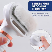 Load image into Gallery viewer, 3-in-1 Pet Hair Dryer Brush for Dogs & Cats Portable, Dog Hair Blower & Slicker Brush Adjustable Temp (Low/Middle/High), Overheat Protection