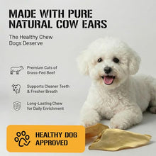 Load image into Gallery viewer, Dog Chits Cow Ears for Dogs – All Natural Cow Ear Dog Treats & Training Chews – High Protein, Low Fat – Thick Cut, Half Ears – Dental Clean Crunch – Ideal for Medium & Large Dogs – Large, 10 Pk