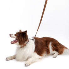 Load image into Gallery viewer, Soft Leather 4ft Dog Collar and Leash Set,Stylish 4ft PU Leather Dog Training Leash, Adjustable Durable Pet Collars with Quick Release Buckle for Large Dogs,Medium Dogs,Terracotta (terracotta, 4 feet)