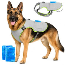 Load image into Gallery viewer, Dog Cooling Vest, Reflective Adjustable Cooling Harness, Ice Pack Pocket, Leash Ring Breathable Summer Vest Hot Weather Outdoor Walks (Grey, XXL)
