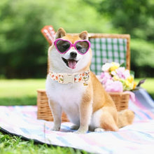 Load image into Gallery viewer, ARING PET Dog Collar, Cute Spring Summer Insects Bee Floral Doggy Collars with Quick Release Buckle for Puppy Small Medium Large Dogs-L
