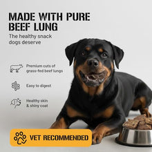 Load image into Gallery viewer, Dog Chits Beef Lung Fillets Dog and Puppy Treats – All Natural Chews for Dogs – Grain-Free, High-Protein, Low Fat Single Ingredient Dog Treat – Ideal for All Dogs – Large, 5 oz – Made in USA