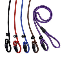 Load image into Gallery viewer, FOVRLZSE 5-Pack Nylon Dog Leashes, 4.6FT, Red Black Blue Brown Purple
