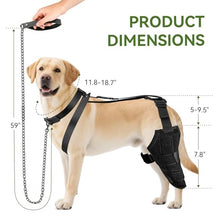 Load image into Gallery viewer, Dog Knee Brace for Back Leg, Adjustable Dog Leg Brace for Torn ACL Hind Leg Support, Joint Stability, Injury Recovery, Pain Relief, Dogs Rear Leg Wrap Harness Set with Collar and Leash (Medium)