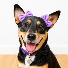Load image into Gallery viewer, Double Bow Dog Headband 3 Pack, Elastic Doggie Headbands for Small & Medium Dogs, Puppy Bow Hair Accessories for Grooming, Photos, Parties & Holidays
