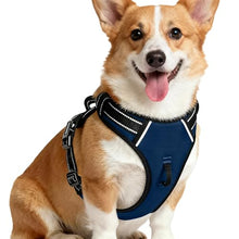 Load image into Gallery viewer, No Pull Dog Harness, No-Choke Soft Padded Reflective Dog Vest Harness with Front Clip & Top Handle, 2 Quick-Release Buckles, Adjustable for Small Medium Large Dogs