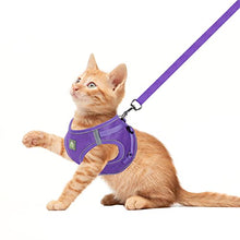 Load image into Gallery viewer, FEimaX Dog Harness and Leash Set, No-Pull Breathable Soft Mesh Puppy Vest Harness Reflective Adjustable Pet Harnesses for Small Medium Dogs and Cats - Outdoor Easy Control for Walking