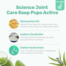 Load image into Gallery viewer, Dog Hip and Joint Supplement, Glucosamine Chondroitin Chews with Green Lipped Mussel Omega 3 Collagen Support Joint Flexibility Pain Relief, Joint Supplements for Small Large Breeds Dogs, 90 Count
