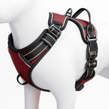 Load image into Gallery viewer, No Pull Dog Harness, No-Choke Soft Padded Reflective Dog Vest Harness with Front Clip & Top Handle, 2 Quick-Release Buckles, Adjustable for Small Medium Large Dogs