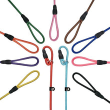 Load image into Gallery viewer, FOVRLZSE 11-Pack Dog Leashes, 4.6FT, 10mm Braided Nylon, 11 Assorted Colors