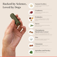 Load image into Gallery viewer, Dental Chews for Dogs - Scrapes Plaque, Freshens Breath & Fights Tartar - Dual-Layered Probiotic Dental Sticks - Vet-Formulated with 16 Active Ingredients - All Dog Sizes - Made in the USA - 30 Count