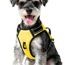 Load image into Gallery viewer, No Pull Dog Harness, No-Choke Soft Padded Reflective Dog Vest Harness with Front Clip & Top Handle, 2 Quick-Release Buckles, Adjustable for Small Medium Large Dogs