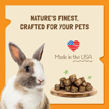 Load image into Gallery viewer, DOC EDDIE'S Vitamin C Bites Soft & Chewy Treats for Hamster, Rabbit, Chinchilla, Bunny, Gerbil, Mouse, Rat, Hedgehog, Squirrel, & Guinea Pig Friendly - Made w/Real Fruit & Organic, New & Tastier