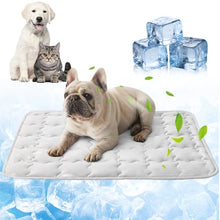 Load image into Gallery viewer, YAUNJI Dog Cooling Eco-Friendly Mat, 2026 New Portable Pet Cooling Pad for Dogs Cats Sleeping Mat for Home Outdoor, Washable Dog Water Bed for Bored Indoor Summer (White, Large)