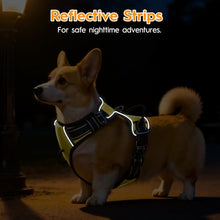Load image into Gallery viewer, No Pull Dog Harness, No-Choke Soft Padded Reflective Dog Vest Harness with Front Clip & Top Handle, 2 Quick-Release Buckles, Adjustable for Small Medium Large Dogs