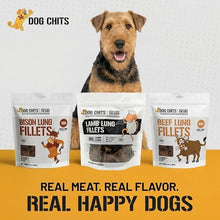 Load image into Gallery viewer, Dog Chits Lamb and Flaxseed Soft Chew for Dogs - All Natural Dog Treats, High Protein, Gentle on Teeth & Rich in Omega 3 and 6 - Supports Joint and Digestive Health - Made in USA - 4 oz