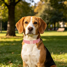 Load image into Gallery viewer, ARING PET Cute Dog Collar for Puppy Small Medium Large Dogs-Red Stripe M