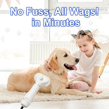 Load image into Gallery viewer, 3-in-1 Pet Hair Dryer Brush for Dogs & Cats – Portable Blower & Slicker Brush, Adjustable Temperature, Overheat Protection
