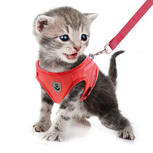 Load image into Gallery viewer, FEimaX Dog Harness and Leash Set for Walking, Soft Mesh Adjustable Easy Control Lightweight Cat Vest Harnesses with Reflective Strips, Escape Proof Small Dogs Cats Vests (Red, Large)