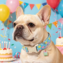 Load image into Gallery viewer, ARING PET Happy Birthday Dog Collar, Cute Blue Cake Doggy Collars for Puppy Small Medium Large Boy Girl Dogs, for Dog Birthday Parties Photo Shoots Celebration Gifts-S