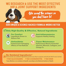 Load image into Gallery viewer, Bernie's Healthy Hips, Hip and Joint Supplement for Dogs, 90 Ct Soft Chews