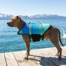 Load image into Gallery viewer, Doglay Dog Life Jacket, Life Vest for Swimming and Boating, Adjustable Puppy Life Jacket with Reflective Stripes, Superior Buoyancy Pet Swimming Vest for Small Medium and Large Dogs