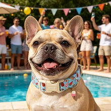 Load image into Gallery viewer, ARING PET Summer Dog Collar, Cute Blue Ice Cream Doggy Collars for Puppy Small Medium Large Boy Girl Dogs Pet, for Daily Photos Outdoor Beach Walking Hiking Picnic, M
