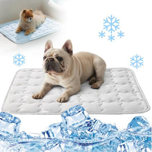 Load image into Gallery viewer, YAUNJI Dog Cooling Eco-Friendly Mat, 2026 New Portable Pet Cooling Pad for Dogs Cats Sleeping Mat for Home Outdoor, Washable Dog Water Bed for Bored Indoor Summer (White, X-Large)