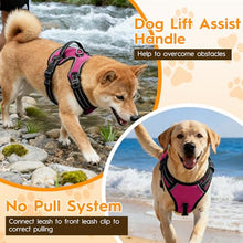Load image into Gallery viewer, No Pull Dog Harness, No-Choke Soft Padded Reflective Dog Vest Harness with Front Clip & Top Handle, 2 Quick-Release Buckles, Adjustable for Small Medium Large Dogs