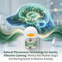 Load image into Gallery viewer, 8-in-1 Calming Diffuser for Dog – Pheromone-Based Dog Anxiety Relief, 2 Plug-Ins & 6 Refills for 180-Day Stress Support – Helps Promote Calm Behavior, Safe & Non-Toxic, Anxiety Relief for Dogs