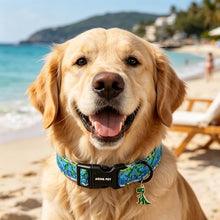 Load image into Gallery viewer, ARING PET Dinosaur Dog Collar, Cute Green Blue Boy Doggy Skate Dino Collars for Puppy Small Medium Large Male Dogs, for Daily Photos Summer Beach Walking Hiking Picnic-XS