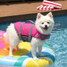 Load image into Gallery viewer, Doglay Dog Life Jacket with Rescue Handle, Dog Life Vest for Swimming Boating, Adjustable Reflective Puppy Swim Vest with Superior Buoyancy for Small Medium Large Dogs