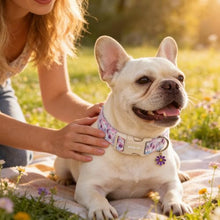Load image into Gallery viewer, ARING PET Girl Dog Collar, Cute Spring Summer Purple Rose Floral Bow Pet Collars for Puppy Small Medium Large Female Dogs-XS, for Daily Outdoor Walking Training