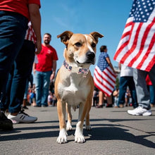 Load image into Gallery viewer, ARING PET 4th of July Collars for Dogs, Fourth of July Patriotic American USA Flag Red White Blue Dog Collar for Puppy Small Medium Large Boy Girl Doggy-L