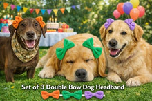 Load image into Gallery viewer, Double Bow Dog Headband 3 Pack, Elastic Doggie Headbands for Small & Medium Dogs, Puppy Bow Hair Accessories for Grooming, Photos, Parties & Holidays