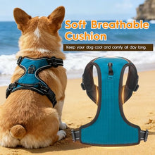 Load image into Gallery viewer, No Pull Dog Harness, No-Choke Soft Padded Reflective Dog Vest Harness with Front Clip & Top Handle, 2 Quick-Release Buckles, Adjustable for Small Medium Large Dogs
