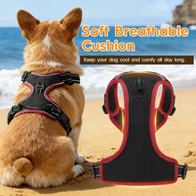 Load image into Gallery viewer, No Pull Dog Harness, No-Choke Soft Padded Reflective Dog Vest Harness with Front Clip & Top Handle, 2 Quick-Release Buckles, Adjustable for Small Medium Large Dogs