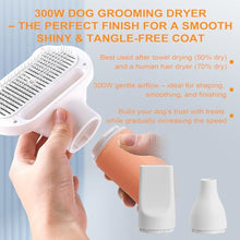 Load image into Gallery viewer, 3-in-1 Pet Hair Dryer & Slicker Brush for Dogs & Cats – Portable, Professional, Adjustable Temp, Overheat Protection Dog Hair Dryer (pink)