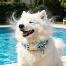 Load image into Gallery viewer, ARING PET Summer Dog Collar-Cute Blue Dog Collar for Small Dogs, Adjustable Cotton Whales Pet Collars Puppy Collar for Small Medium Large Dogs