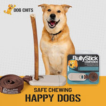 Load image into Gallery viewer, Dog Chits Bully Stick Companion - Safe & Secure Bully Stick Holder - Prevents Choking, Mess-Free & Easy Chewing - Keeps Treat Away from Children - 4ft Tether Included - for Pups and Dogs up to 30 lbs
