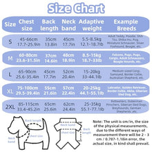 Load image into Gallery viewer, Super Absorbent Dog Bathrobe Pineapple Soft Fast Drying Dogs Towel Robe Adjustable Drying Coat for After Bath with Hood (Pineapple Blue, X-Large)