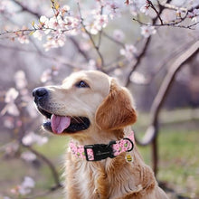 Load image into Gallery viewer, ARING PET Bee Dog Collar, Cute Spring Summer Pink Yellow Honeybees Pet Collars for Puppy Small Medium Large Boy Girl Dogs-L