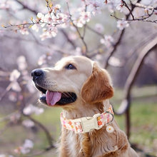 Load image into Gallery viewer, ARING PET Spring Summer Dog Collar-Cute Floral Doggy Collars for Small Dogs, Adjustable Cotton Sunflower Pet Collars Puppy Collar for Small Medium Large Dogs