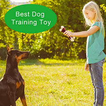 Load image into Gallery viewer, Pasking Dog Chew Toys for Aggressive Chewers - Bacon Flavor Indestructible Nylon Dog Bone Toys Tough Teething & Calming Interactive Toys for Large Medium Breeds(10lbs-70lbs) Birthday Gift Christmas
