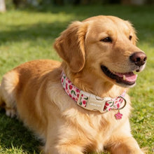 Load image into Gallery viewer, ARING PET Dog Collar, Cute Spring Summer Strawberry Cherry Pet Collars for Puppy Small Medium Large Boy Girl Dogs-L, for Daily Outdoor Walking Training