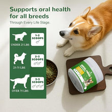 Load image into Gallery viewer, Vetriuntrix Dog Dental Powder, 150g Dental Powder for Dogs Teeth Cleaning and Breath Fresh, Dog Dental Care with Natural Enzymes, Probiotics, Tartar Remover and Plaque Off