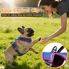 Load image into Gallery viewer, No Pull Dog Harness, No-Choke Soft Padded Reflective Dog Vest Harness with Front Clip & Top Handle, 2 Quick-Release Buckles, Adjustable for Small Medium Large Dogs